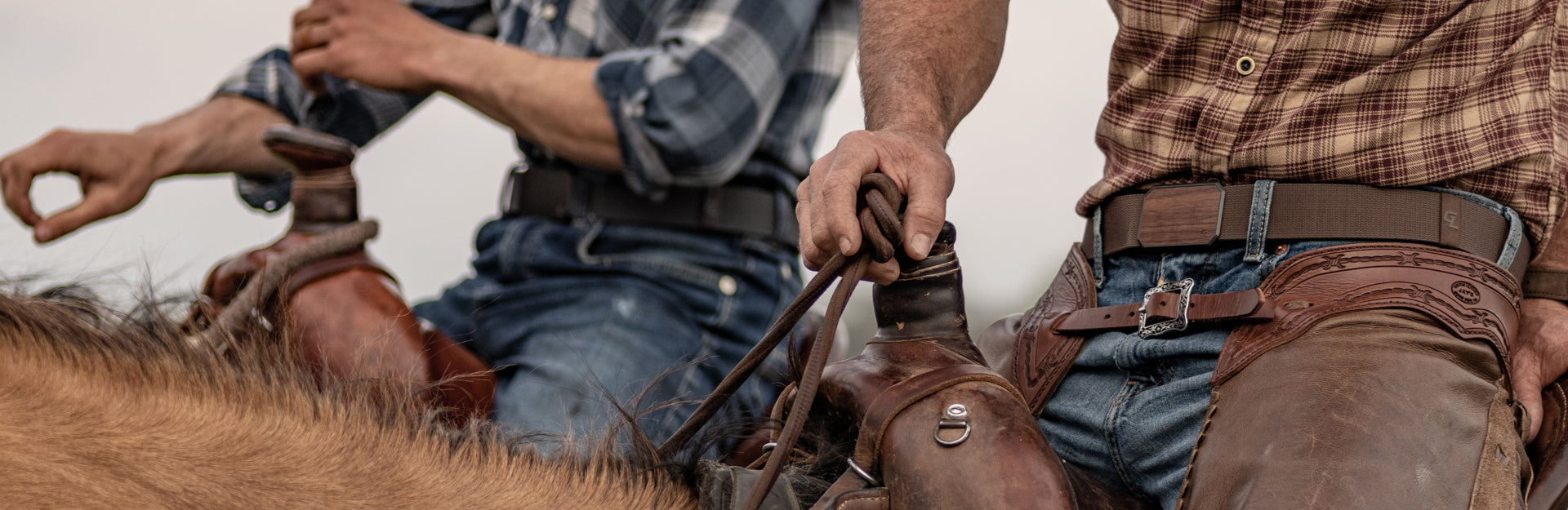 A Day in the Life of a Horse Farrier