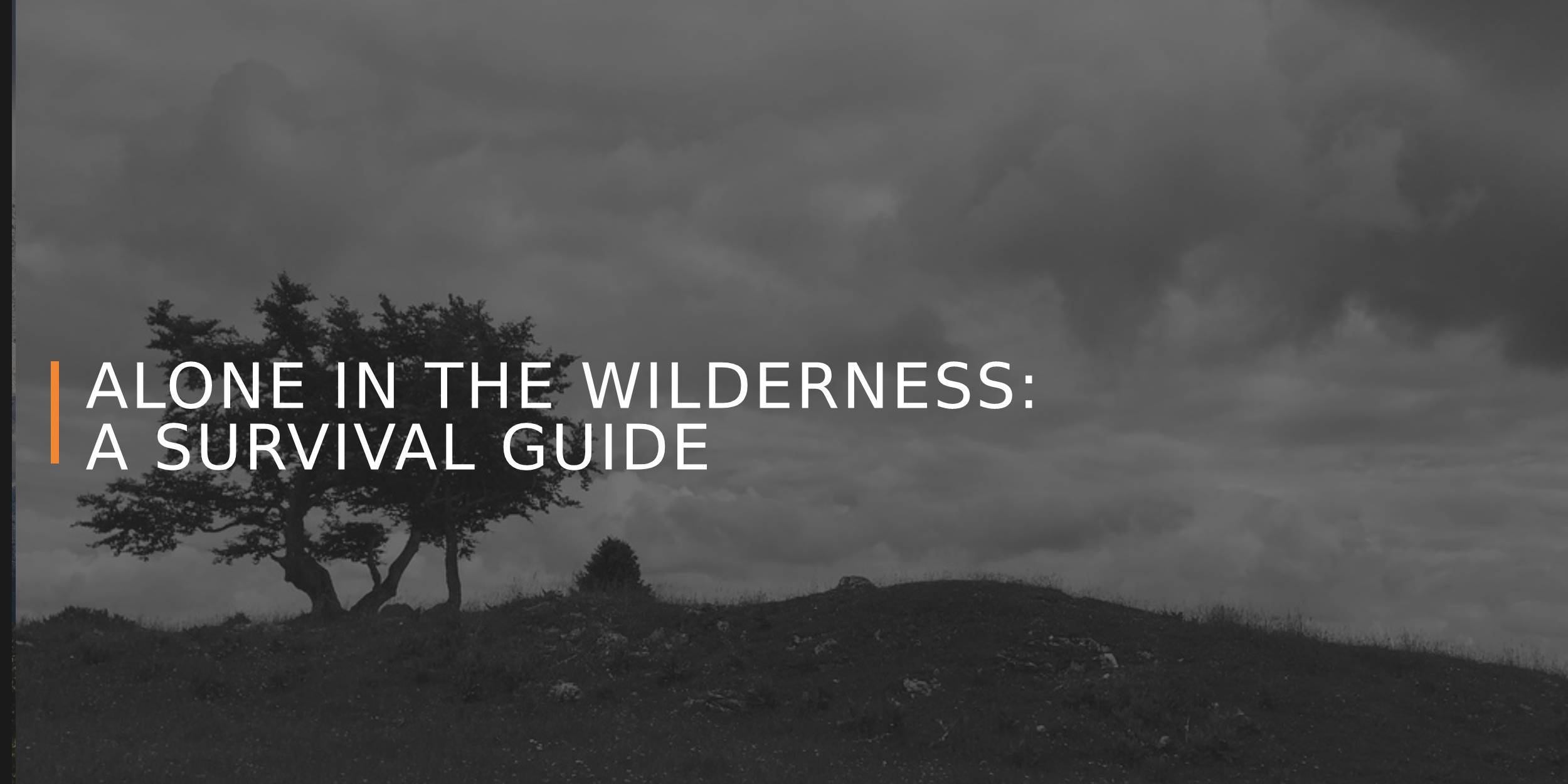 Alone in the Wilderness: A Survival Guide