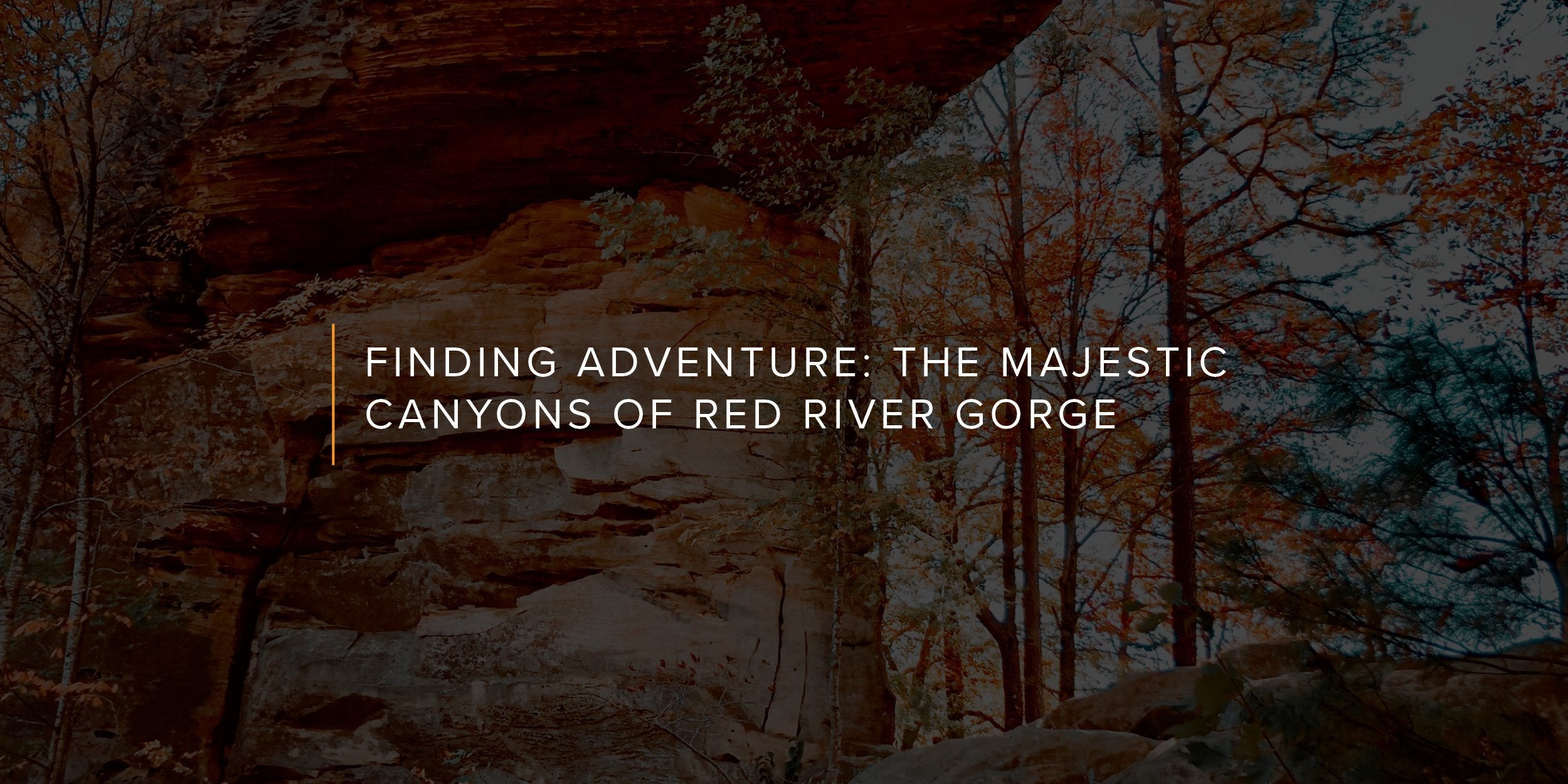 Finding Adventure: The Majestic Canyons of Red River Gorge