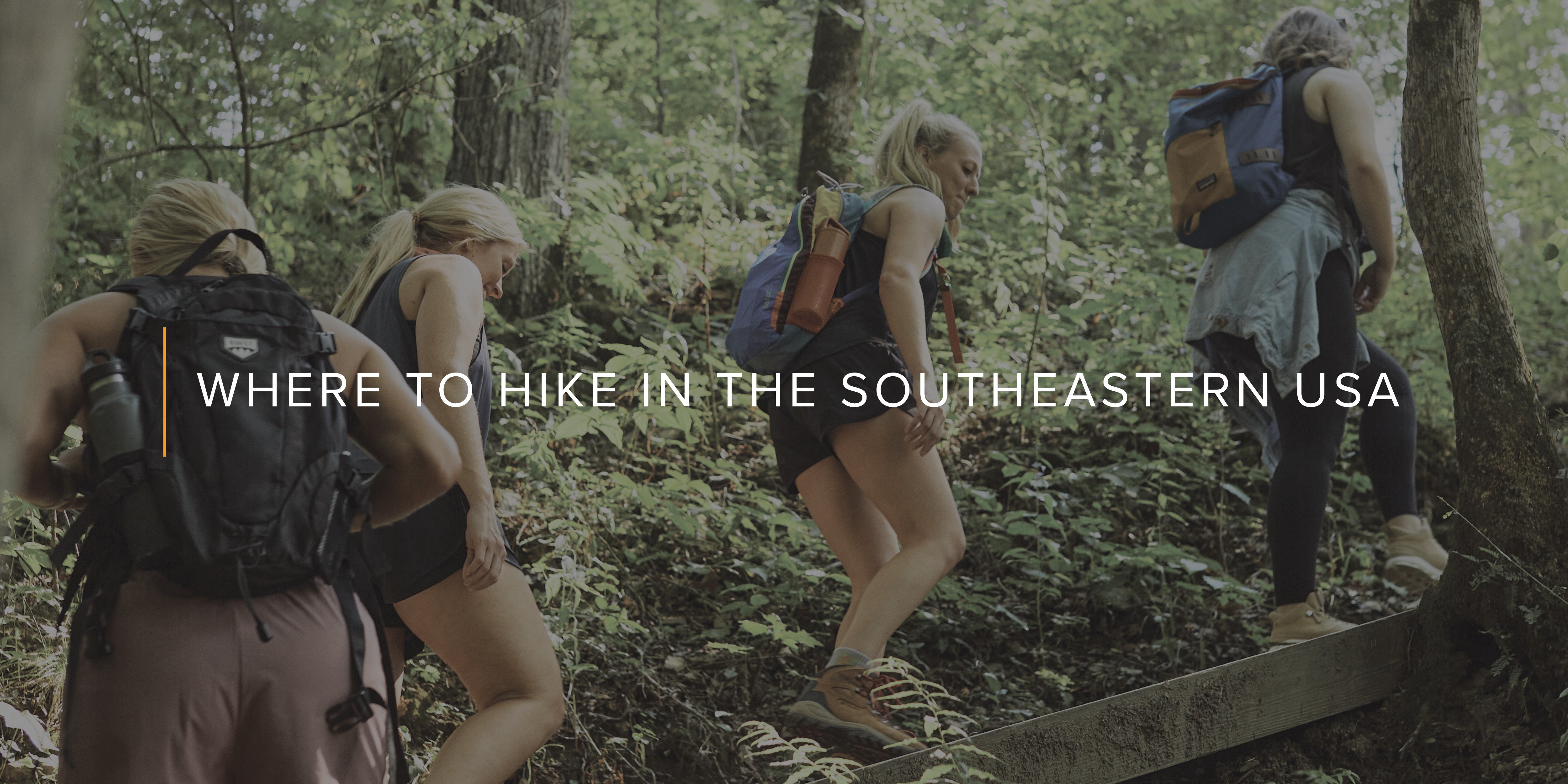 Where to Hike in the Southeastern USA