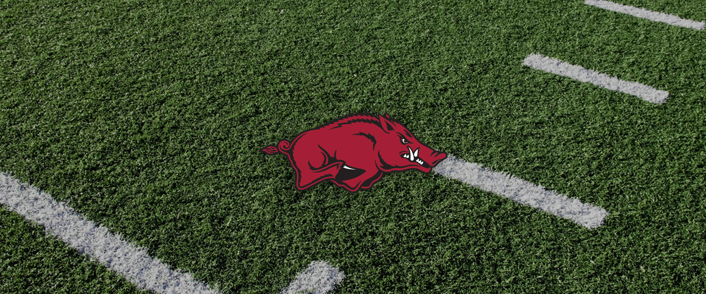 Arkansas Collegiate Silicone Rings, Arkansas logo on football field