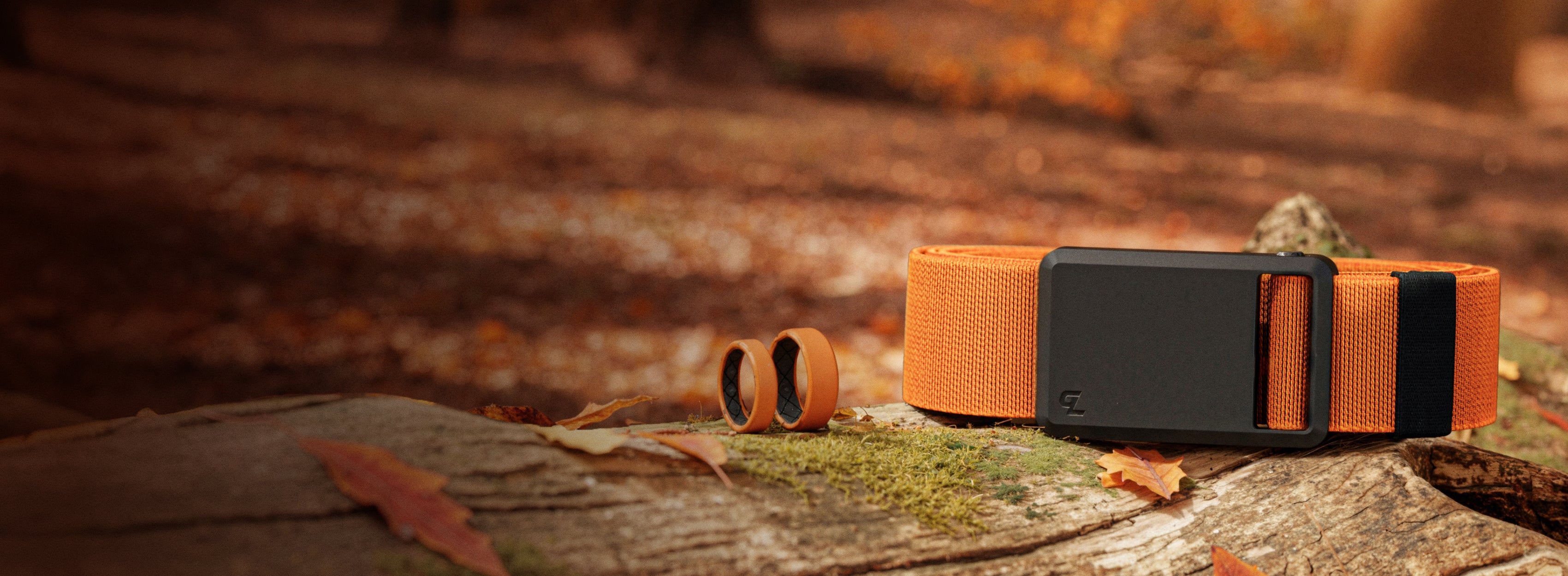 new fall belt colors