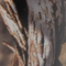 Mossy Oak Breakup Country Camo