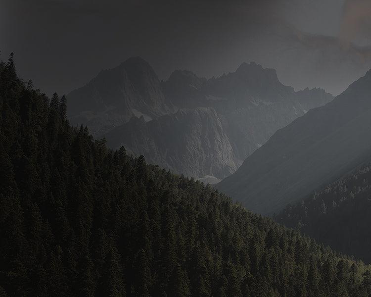 born in Alaska. built in tennessee