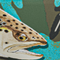 Guy Harvey Trouts