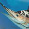 Guy Harvey Grand Slam