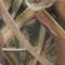 Mossy Oak Blades
