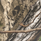 Mossy Oak Country DNA