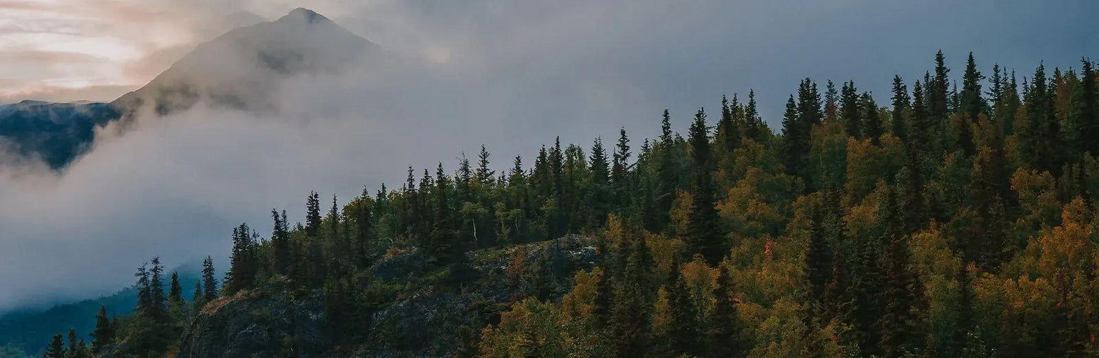Alaskan landscape