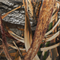 Realtree MAX5 Camo