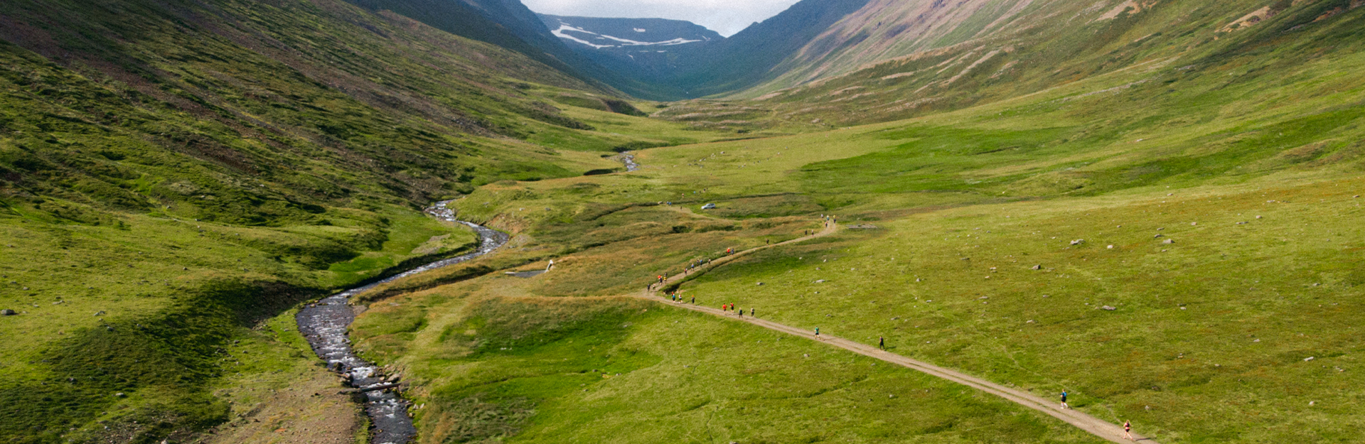 Groove 2025 life exchange