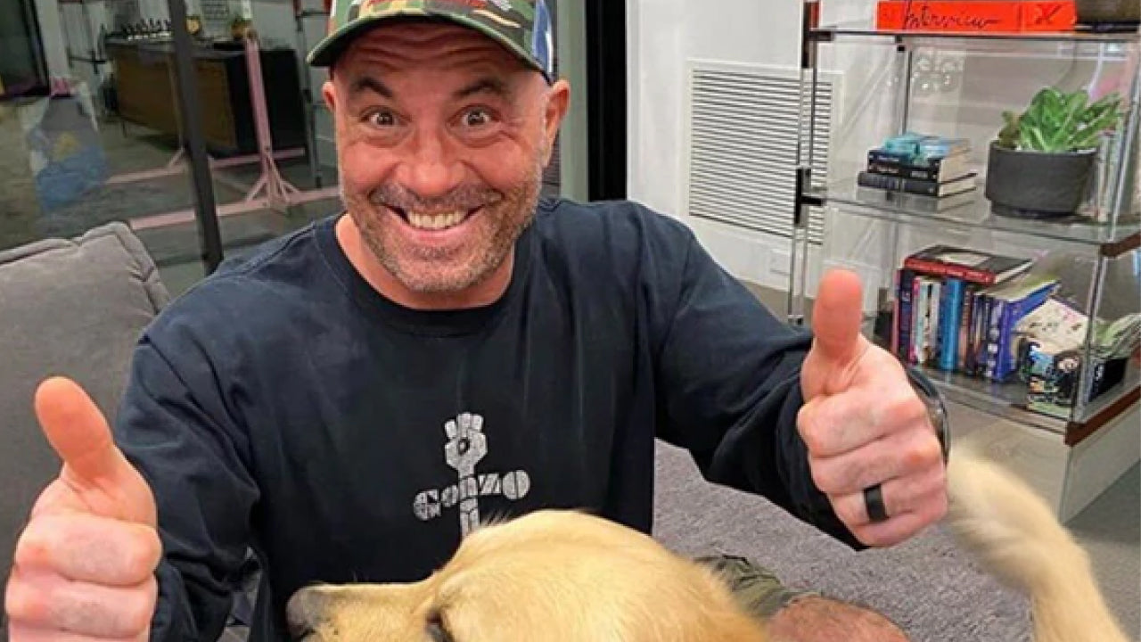 joe rogan