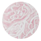 Birth Flower June