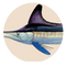 Billfish Slam