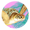 Turtle Palms