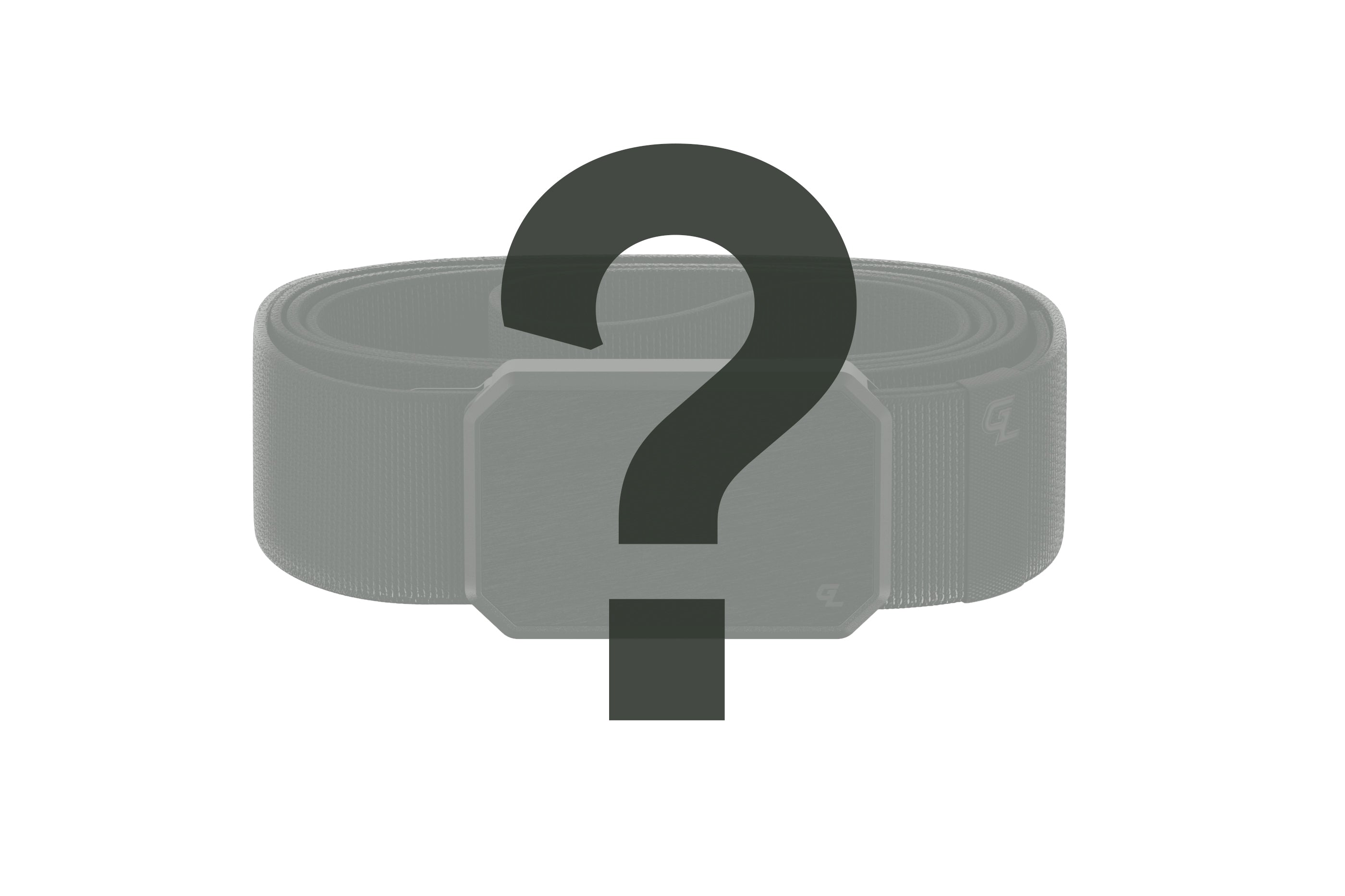 Mystery Belt Only $29.95 (54% OFF)