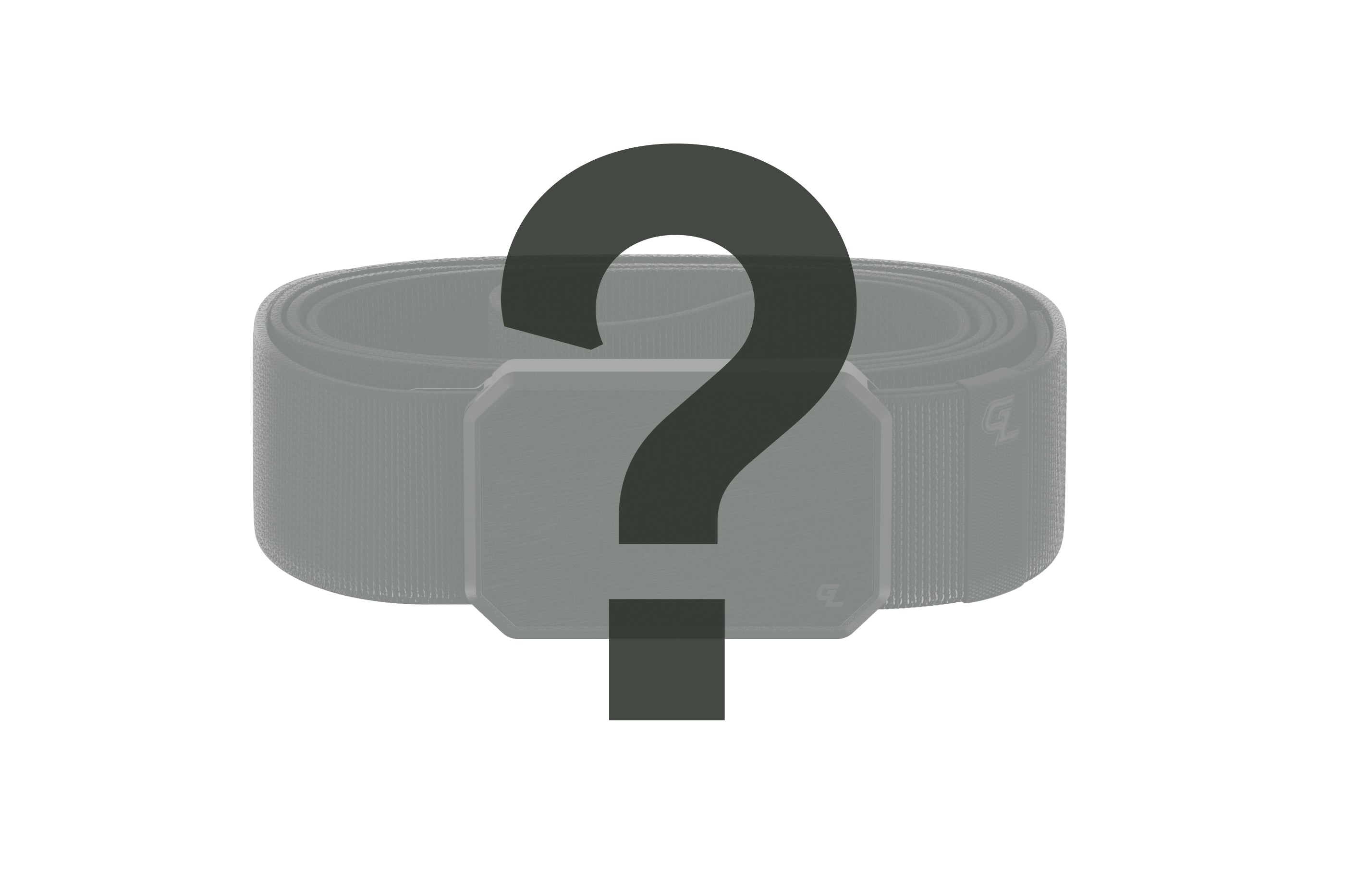 Mystery Belt Only $24.95 (62% OFF)