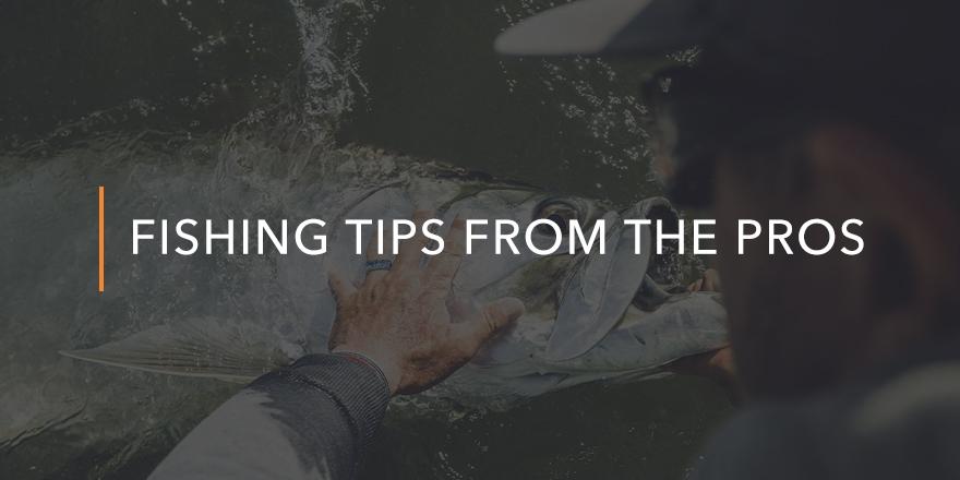 fishing tips from the pros