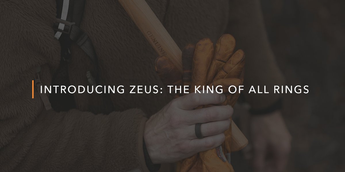 Introducing Zeus: The 